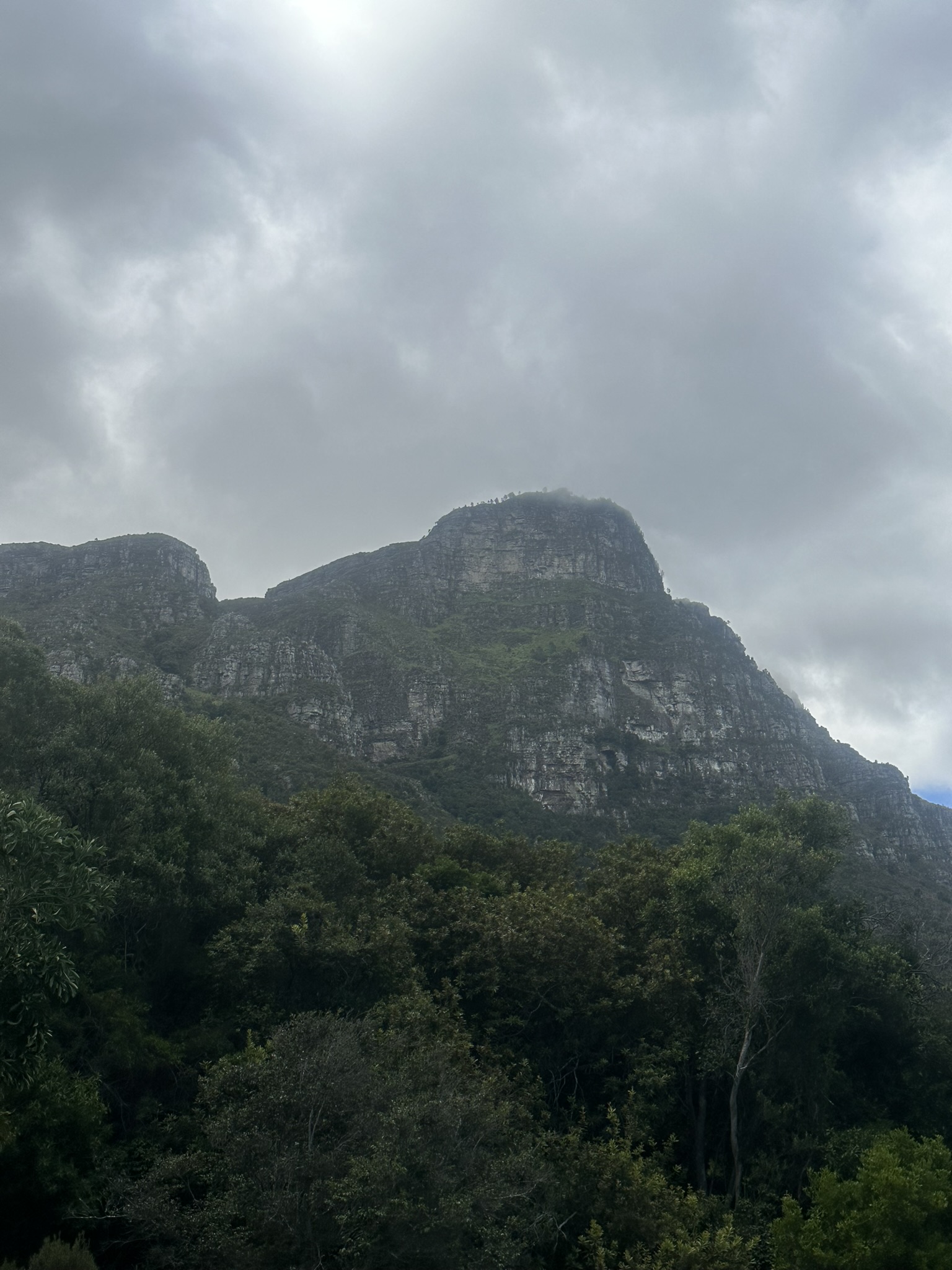 South Africa - Image 158